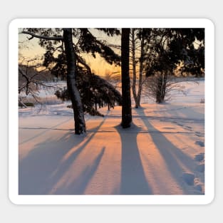 Sunset in the Snowy Forest Sticker